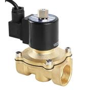 Elettrovalvole for fontane normalmente aperte da 3/8'' 1/2" 3/4'' 1'' 1-1/4'' 2'' Elettrovalvola in ottone impermeabile 220V 110V 24V 12V(110vac-epdm-seal,1.5 Inch)