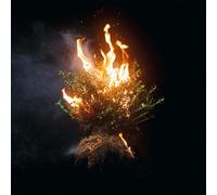 Elevation Worship Can You Imagine? (CD)