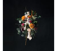 Elevation Worship Graves Into Gardens (CD)