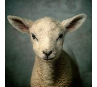 Elevation Worship Lion (CD)