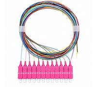 Elfcam® - Pigtail in Fibra Ottica a 12 Fibre SC/UPC OM4 Multimodale Con codice Colore Senza Rivestimento