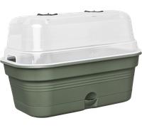 elho Green Basics Grow Tray Allin1 M - Fioriera - Verde - Coltura E Raccolta - L 18 x W 32 x H 13.2 cm