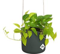 elho b.for swing hanger, 18 cm - Verde foglia
