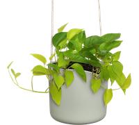 elho b.for swing hanger, 18 cm - Verde pietra
