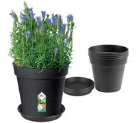 Elho Green Basics Grow Pots Set - Vaso per piante con sottovaso - 100% plastica riciclata - Set di 5 - Ø 17 x H 15,8 cm - Nero/Living Black