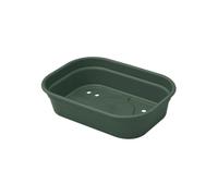 elho Green Basics Grow Tray S - Verde - Internocoltura E Raccoltaesternoaccessori - L 17 x W 24 x H 6 cm