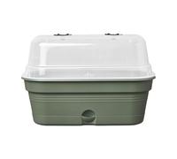 elho Green Basics Grow Tray Allin1 M - Fioriera - Verde - Coltura E Raccolta - L 18 x W 32 x H 13.2 cm