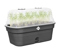 Elho Green Basics Grow Tray Allin 1 M Vasi per Piante - Living Black