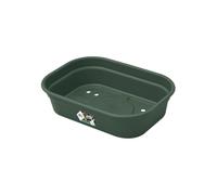 Elho Green Basics Grow Tray S Vasi per Piante - Leaf Green | L 17 x P 24 x A 6 cm | Adatto per uso interno ed esterno