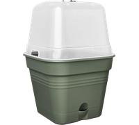 elho Green Basics Growpot Square Allin1 25 - Vaso da Coltivazione - Verde - Coltura E Raccolta - Ø 24.5 x H 20.7 cm