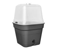 elho Green Basics Growpot Square Allin1 25 - Vaso da Coltivazione - Nero - Coltura E Raccolta - Ø 24.5 x H 20.7 cm