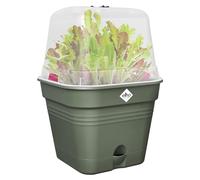 Elho Green Basics Growpot Square Allin1 25 - Vasetti per Piantine - Ø 24.5 x H 20.7 cm - Verde/Leaf Green