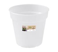 Elho Green Basics Orchid 13cm Vasi per Piante - Transparent