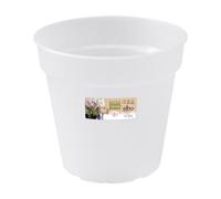 Elho Green Basics Orchid 15 - Vaso per Interno Esterno Coltura E Raccolta - Ø 15 x H 13.9 - Transparent