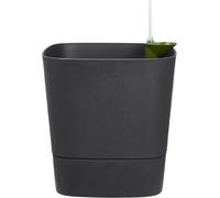 elho greensense aqua care square, 30 cm - Grigio antracite
