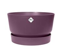 Elho Greenville Bowl 33 - Vaso per Esterno - Ø 32.5 x H 19.4 cm - Viola/Vintage Prugna