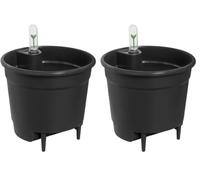 Elho Self-watering Insert 13 - Accessorio per vasi da interno - Ø 13.04 x H 11.55 cm - Nero/Living Black (Confezione da 2)