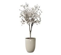 Elho Sereh High 40 - Vasi per Piante - Interno e Esterno - 100% Plastica Riciclata - Ø 39 x H 53.4 cm - Beige/Mushroom Beige