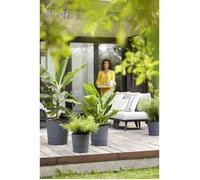 ELHO - Vaso da fiori - Greensense Aqua Care Round 35 - Grigio antracite - Interno/esterno - Ø 34,5 x H 34,1 cm