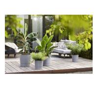 Elho Give Room To Nature Elho - Vaso Da Fiori - Greensense Aqua Care Round 43 -