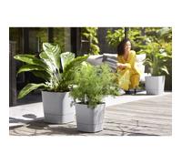Elho Give Room To Nature Elho - Vaso Da Fiori - Greensense Aqua Care Square 30 -