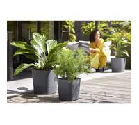 ELHO - Vaso da fiori - Greensense Aqua Care Square 30 - Grigio antracite - Interno/esterno - Ø 29,5 x H 30,2 cm