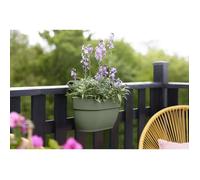 ELHO - Vaso da fiori - Vibia Campana Easy Hanger Medium - Verde pistacchio - Balcone esterno - L 24,1 x P 36 x H 26,5 cm