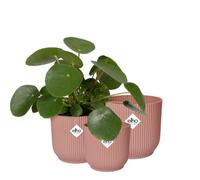 Elho Vibes Fold Round - Vaso per Piante da Interno - 100% plastica riciclata - Set di 3 - Ø 14, 16, 18 cm - Rosa/Delicate Pink