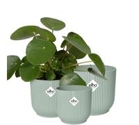 elho Set di 3 vibes fold round da 14, 16 e 18 cm - verde sorbetto - 1 set