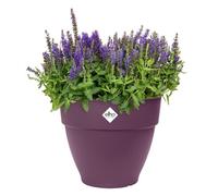 Elho Vibia Campana Round 35 - Vaso per Esterno - Ø 34.5 x H 29.7 cm - Viola/Porpora Acero