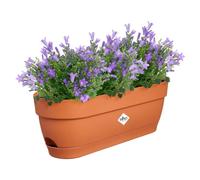 Elho Vibia Campana Trough 50 - Fioriera per Balcone - Ø 49.0 x H 17.0 cm - Terra