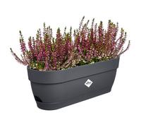 Elho vibia campana trough 50cm fioriera - Anthracite
