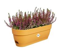 Elho Vibia Rectanglengle Fiort - Plastic - Ø50 - Pushing Pink S_0294_ELH87119045