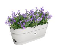 Elho Vibia Campana Trough 50cm Fioriera da Balcone - Silky White