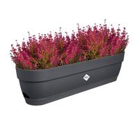 Elho vibia campana trough 70cm fioriera - Anthracite