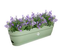 Elho Vibia Campana Trough 70cm Fioriera da Balcone - Pistache Green