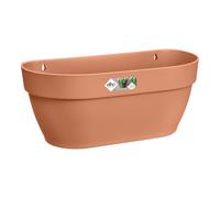 Elho Vibia Campana Wall Basket 35 - Fioriera per Balcone esterno - Ø 35.0 x H 14.8 cm - Terra