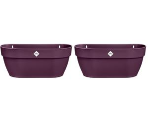 Elho Vibia Campana Wall Basket 35 - Fioriera per Balcone esterno - Ø 35.0 x H 14.8 cm - Viola/Porpora Acero (Confezione da 2)