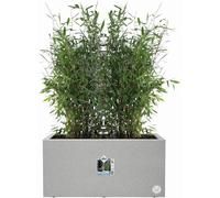 elho vivo next long - 80 cm - Cemento