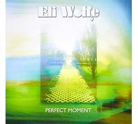 Eli Wolfe - Perfect Moment