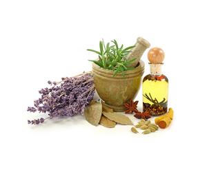 Elicriso Stoechas In Fiori Gialli Interi