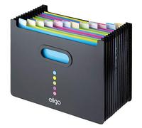 Eligo 15174 - Organizer per Scrivania, 13 cartelle, Formato A4, Colore Nero