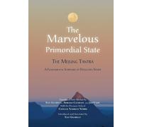 Elio Guarisco Jim Valby Adriano Clemen The Marvelous Primordial Sta (Tascabile)