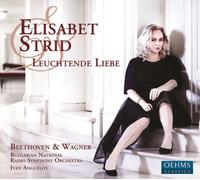 Elisabet Strid Elisabet Strid: Leuchtende Liebe (CD) Album