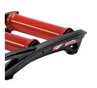 Elite Rullo Di Allenamento Arion Black / Red