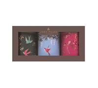 Elite tins Sara Miller Chelsea SM2992 - Set di 3 contenitori rotondi in latta