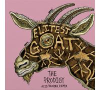 elitest g.o.a.t - the prodigy acid thunder remix