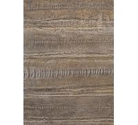 Élitis Carta da parati Anguille Metal - VP 952 90