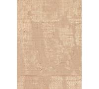 Élitis Carta da parati Atelier d'Artiste - VP 880 50