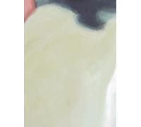 Élitis Carta da parati panoramica Big Sur - Beige